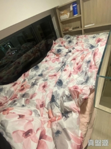 薈藍 - 28NTS – 香港北部都會區