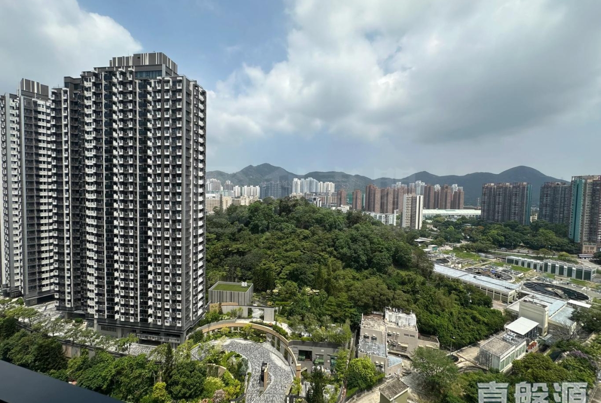 上嵐 - 28NTS – 香港北部都會區