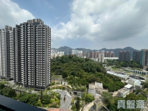 上嵐 - 28NTS – 香港北部都會區