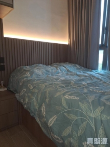 上嵐 - 28NTS – 香港北部都會區