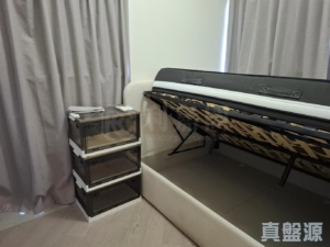 NOVO LAND 1B期 Bergen 3座 - 28NTS – 香港北部都會區