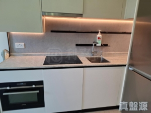 NOVO LAND 1B期 Bergen 3座 - 28NTS – 香港北部都會區