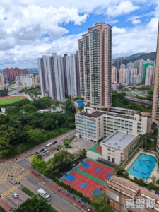大興花園 1期 2座 - 28NTS – 香港北部都會區