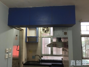 兆禧苑 樂禧閣 (E座) - 28NTS – 香港北部都會區
