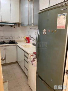 大興花園 2期 8座 - 28NTS – 香港北部都會區