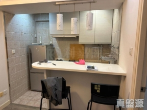 啟豐園 2座 - 28NTS – 香港北部都會區