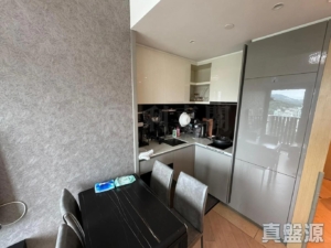 御半山 1期 1B座 - 28NTS – 香港北部都會區