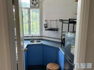 愉景新城 2期 8座 - 28NTS – 香港北部都會區