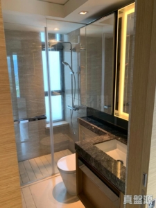 峻巒 2C期 PARK YOHO MILANO 36B座 - 28NTS – 香港北部都會區