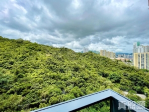 明翹匯 2座 - 28NTS – 香港北部都會區