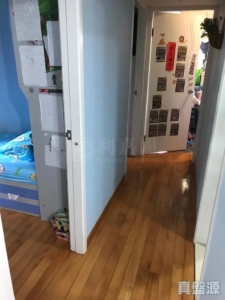新葵興花園 A座 - 28NTS – 香港北部都會區