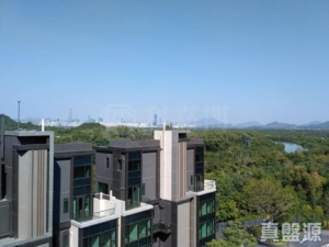 WETLAND SEASONS BAY 2期 1B座 - 28NTS – 香港北部都會區