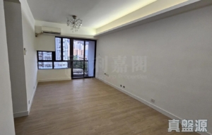 沙田廣場 銀星閣 (B座) - 28NTS – 香港北部都會區