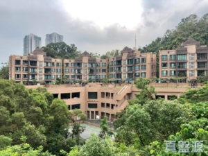 蔚林居 - 28NTS – 香港北部都會區