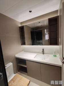 新港城 1期 B座 - 28NTS – 香港北部都會區
