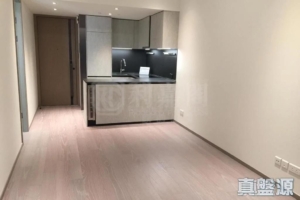 朗濤 8B座 - 28NTS – 香港北部都會區