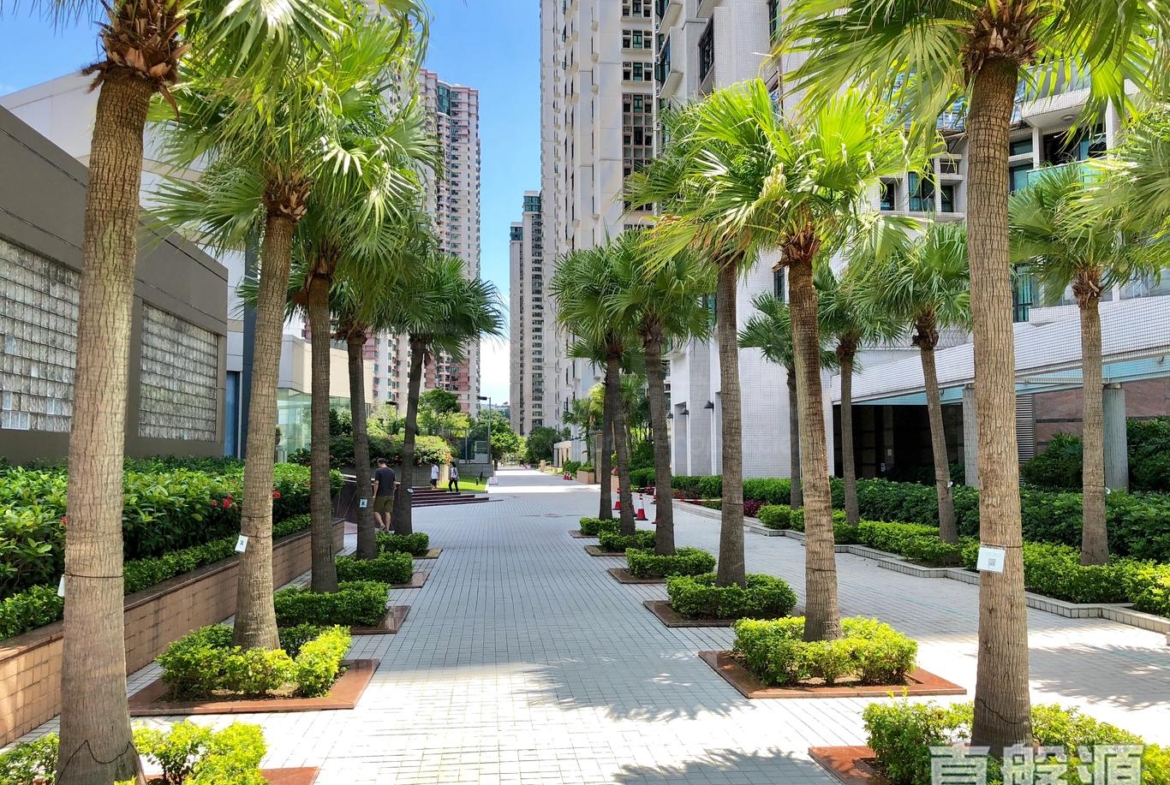 駿景園 1期 1座 - 28NTS – 香港北部都會區
