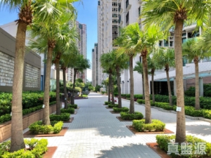 駿景園 1期 1座 - 28NTS – 香港北部都會區