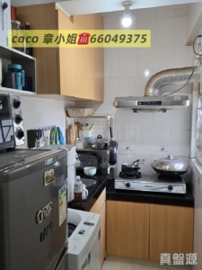 龍豐花園 A座 - 28NTS – 香港北部都會區