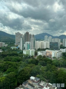上水名都 紐約閣 (2座) - 28NTS – 香港北部都會區