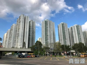 沙田第一城 2期 23座 - 28NTS – 香港北部都會區