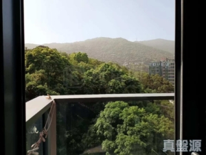 天鑽 15座 - 28NTS – 香港北部都會區