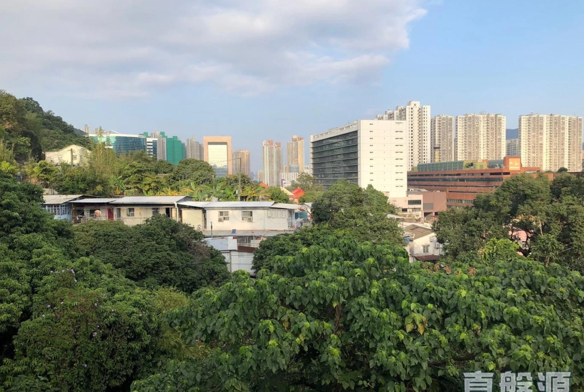 排頭村 222A號(A座) - 28NTS – 香港北部都會區