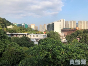 排頭村 222A號(A座) - 28NTS – 香港北部都會區