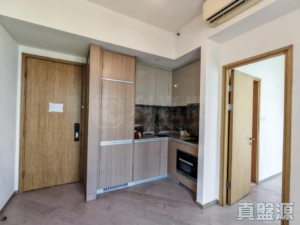 泓碧 H20座 - 28NTS – 香港北部都會區