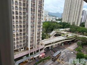 昌運中心 貴昌閣 (2座) - 28NTS – 香港北部都會區
