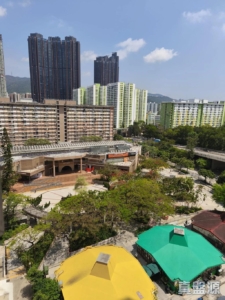 景田苑 恆心閣 (E座) - 28NTS – 香港北部都會區