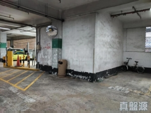 沙田中心 車位 - 28NTS – 香港北部都會區