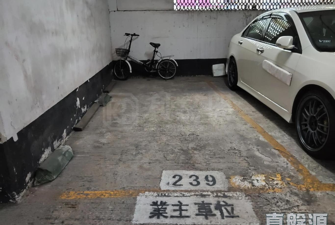 沙田中心 車位 - 28NTS – 香港北部都會區