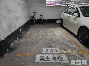 沙田中心 車位 - 28NTS – 香港北部都會區