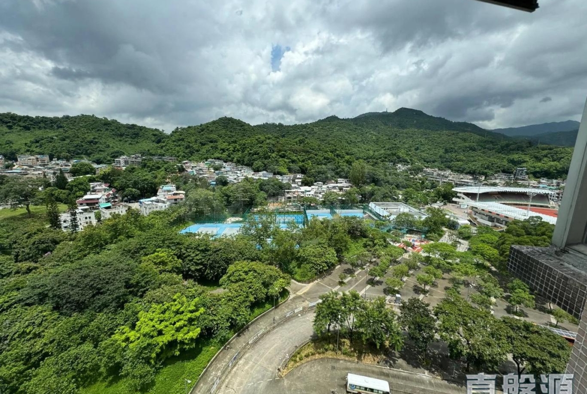 太湖花園 1期 1座 - 28NTS – 香港北部都會區