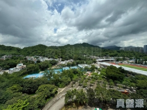 1786892555c68d72d3-3eda-4522-8289-fe1ed63b6872.jpeg 太湖花園 1期 1座 - 28NTS – 香港北部都會區
