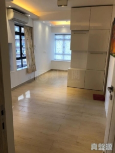 新港城 4期 H座 - 28NTS – 香港北部都會區