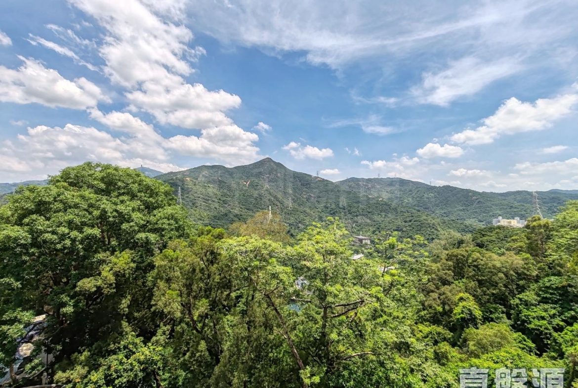 湖景花園 2座 - 28NTS – 香港北部都會區