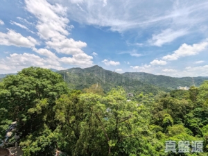 湖景花園 2座 - 28NTS – 香港北部都會區