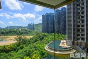 星漣海 2A座 - 28NTS – 香港北部都會區