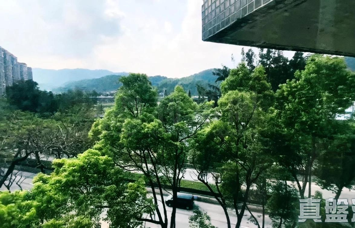 美豐花園 A座 - 28NTS – 香港北部都會區