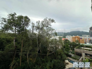 1786895929d59e8c20-ca9a-4a1f-b7f4-73b4fd117c1b.png 嘉御山 1座 - 28NTS – 香港北部都會區