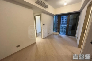 星凱．堤岸 1座 - 28NTS – 香港北部都會區