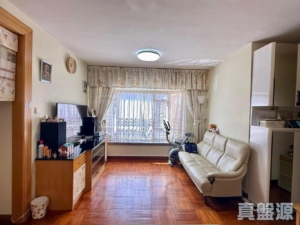 新港城 5期 海濤居 4座 - 28NTS – 香港北部都會區