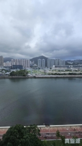 碧濤花園 1期 百利閣( 2座) - 28NTS – 香港北部都會區
