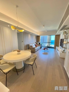 朗濤 8A座 - 28NTS – 香港北部都會區