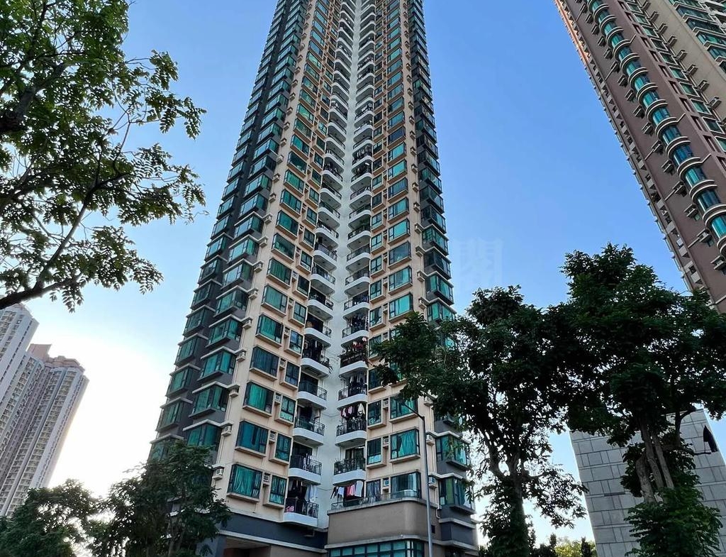 顯峯 - 28NTS – 香港北部都會區