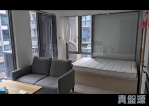 雲滙 1期 6座 - 28NTS – 香港北部都會區