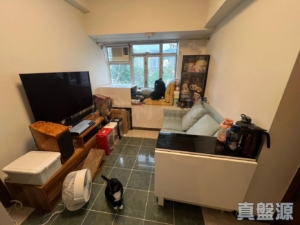 河畔花園 A座 - 28NTS – 香港北部都會區