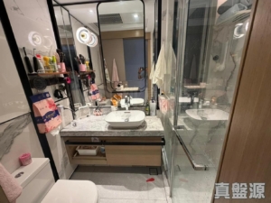 雲滙 1期 6座 - 28NTS – 香港北部都會區